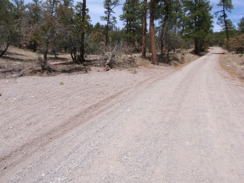 A sandy wash (left side).